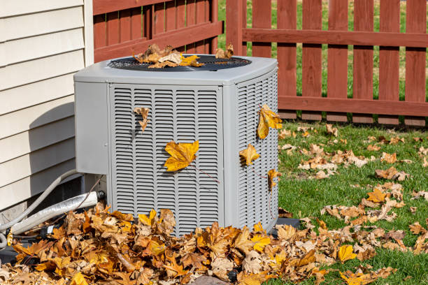 Best Air Quality Test  in Villa Ridge, MO